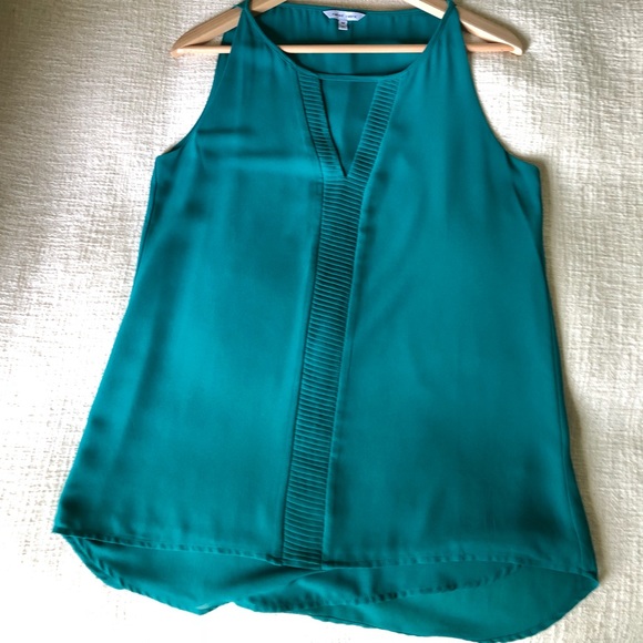 Naked Zebra top - Picture 2 of 5